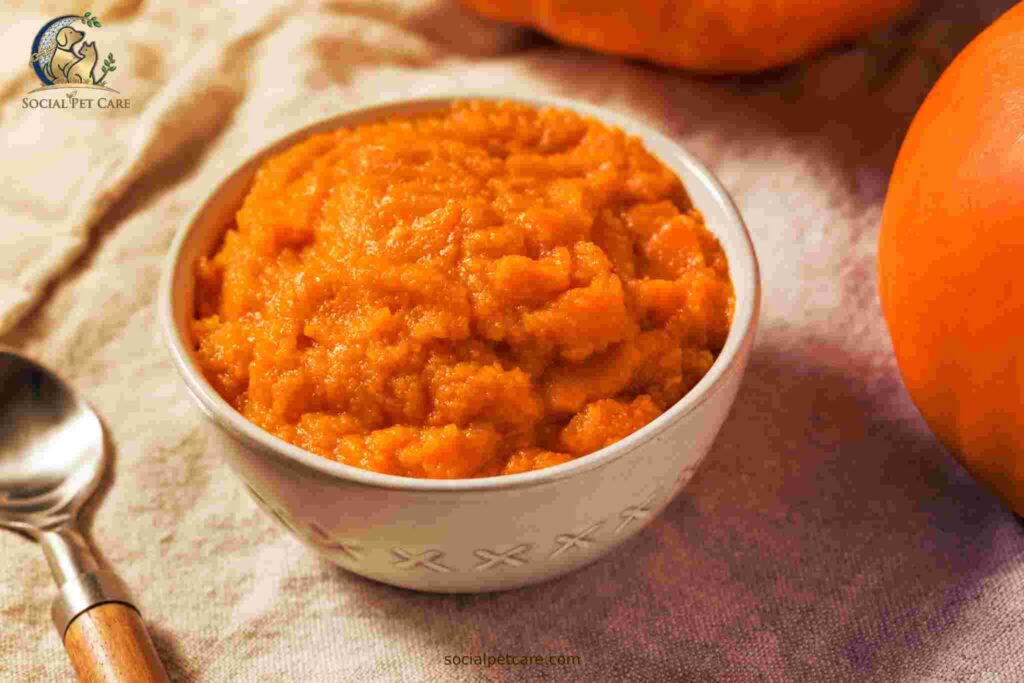 An informational graphic detailing the correct pumpkin dosage for canine constipation relief.
