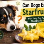 Can Dogs Eat Starfruit