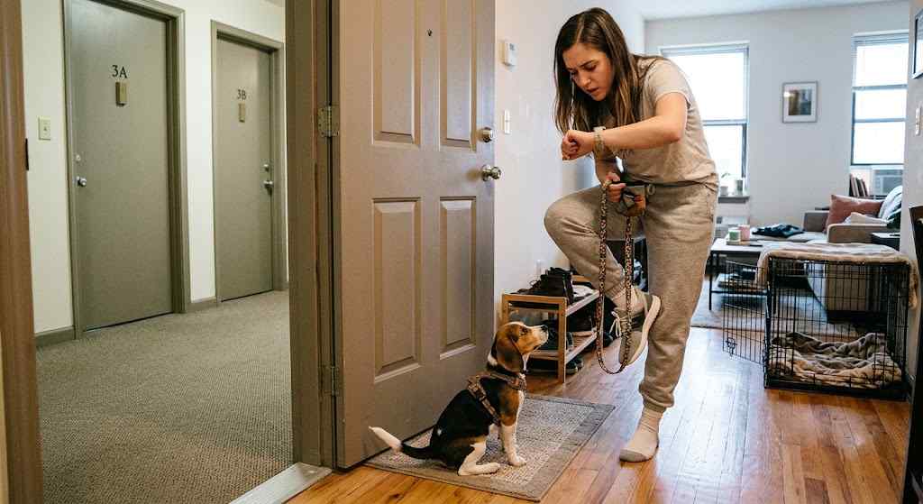 How to Potty Train a Puppy in an Apartment (Step-by-Step)